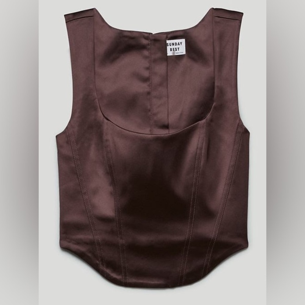 Aritzia Sunday Best Shiloh Shine Brown Bustier Corset Top